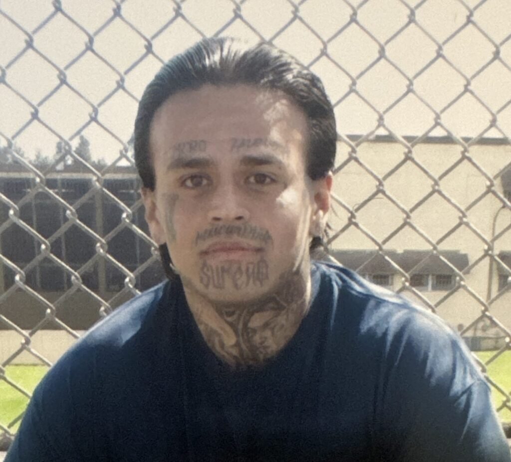 Miguel Garcia-Montejano