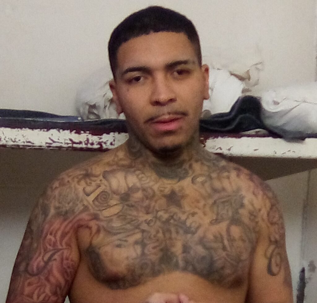 Josue CastroArrida