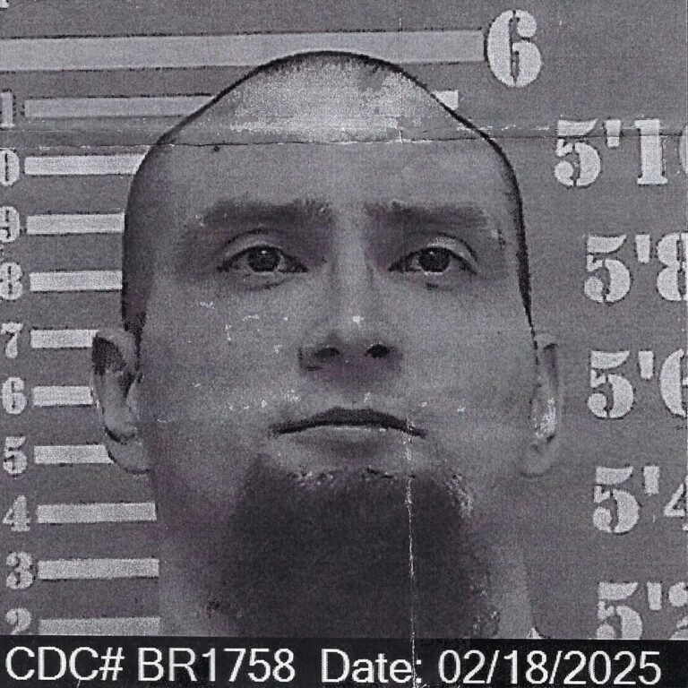 Christopher Hayes BR1758